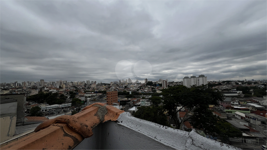 Foto REO1058911