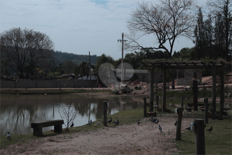 Foto REO1058915