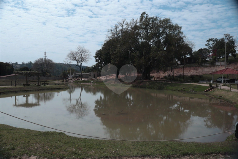 Foto REO1058915