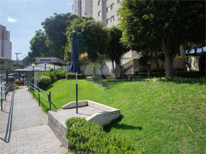 Foto REO1058933