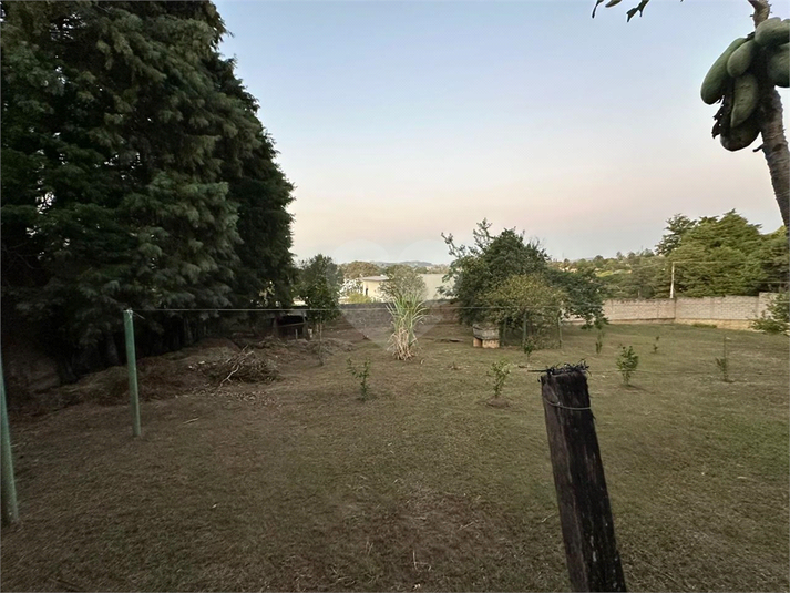 Foto REO1058939