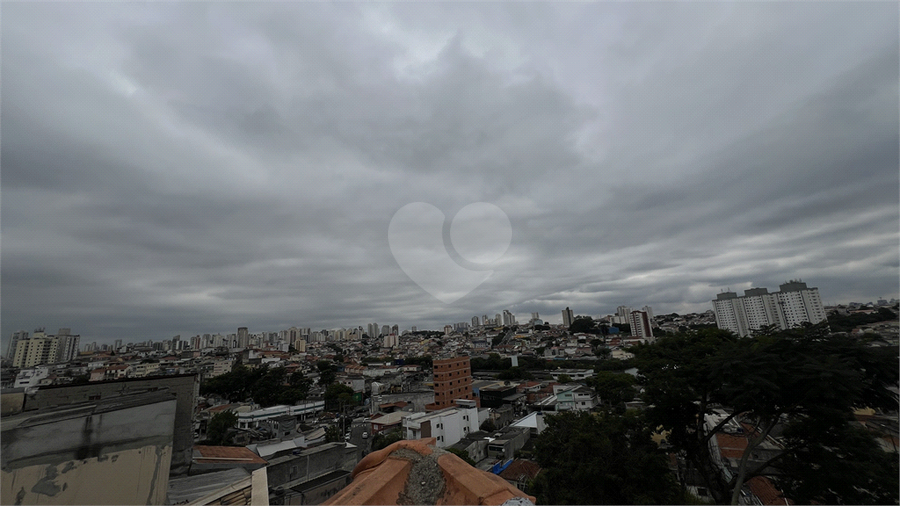 Foto REO1058948