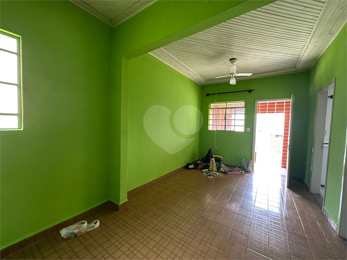Foto REO1058973