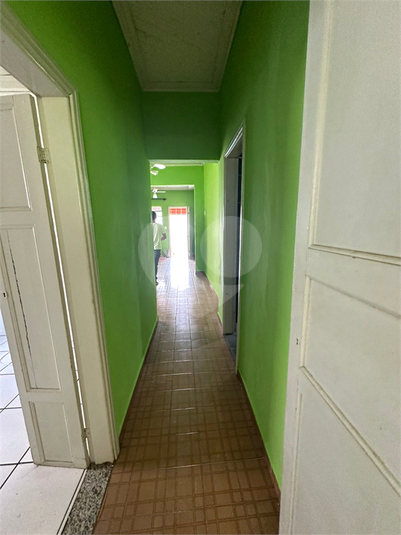 Foto REO1058973