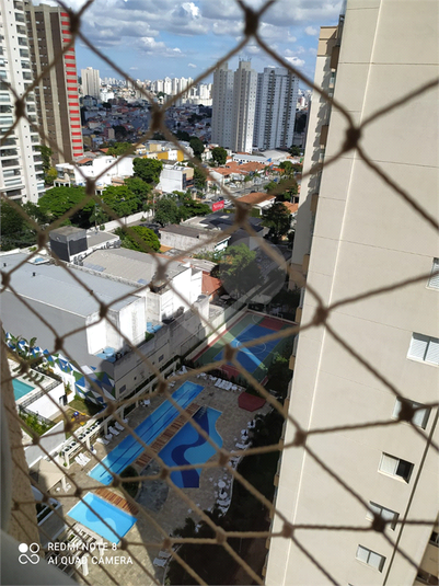 Foto REO1058979