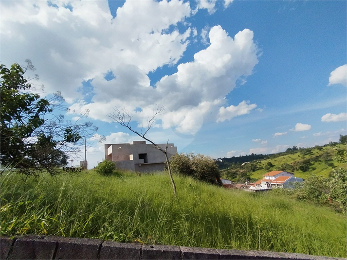 Foto REO1058980