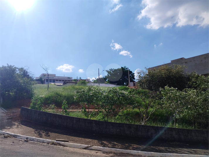 Foto REO1058980