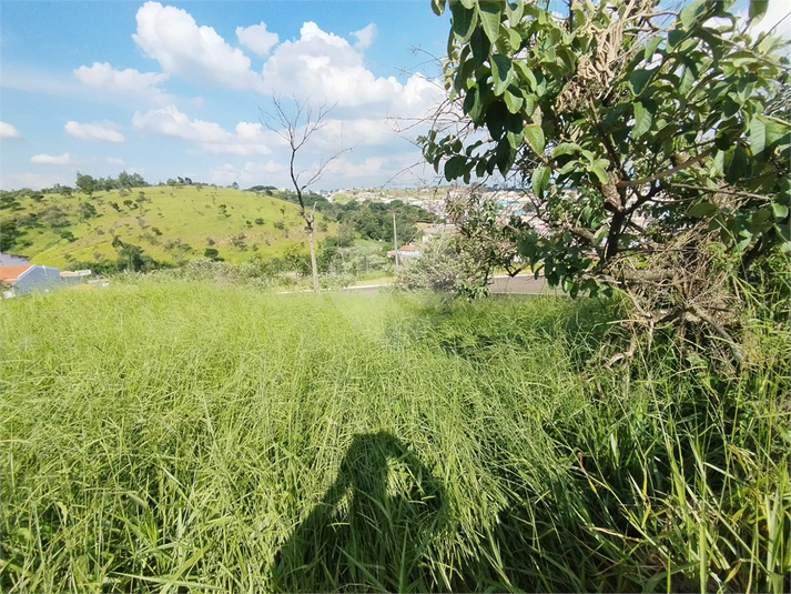 Foto REO1058980