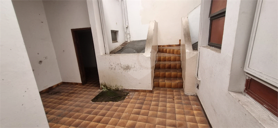Foto REO1058989