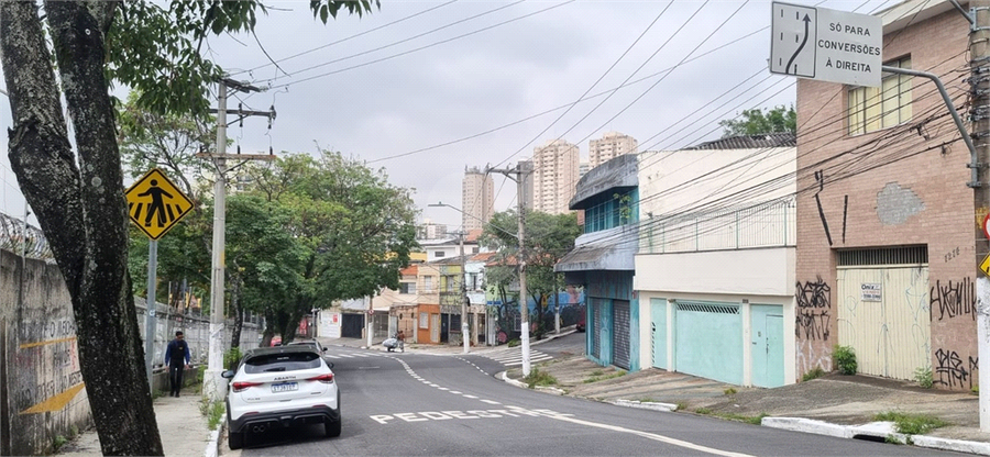 Foto REO1058989