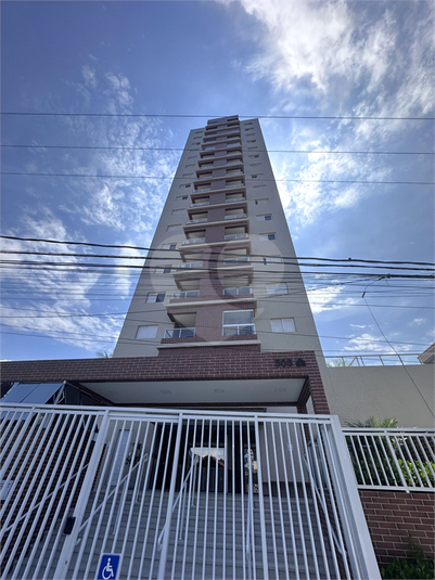 Foto REO1059019