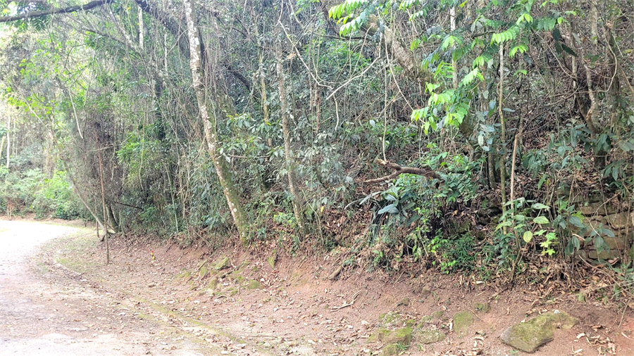 Venda Terreno Mairiporã Apolinário REO1059050 5