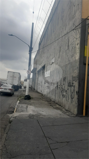 Foto REO1059074