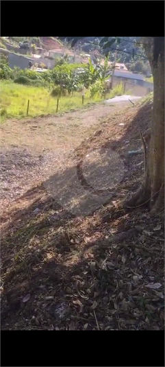 Venda Terreno Volta Redonda Santa Rita Do Zarur REO1059085 5