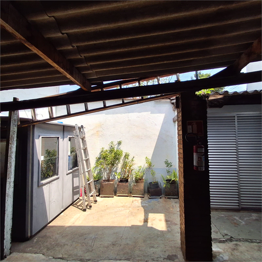 Foto REO1059089