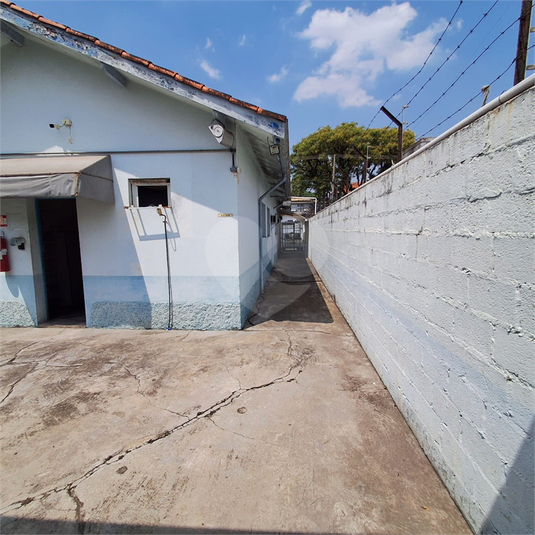Foto REO1059109