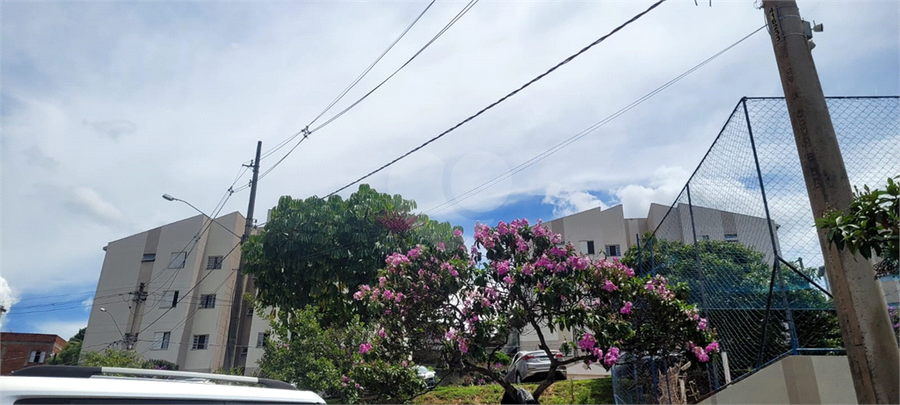 Foto REO1059133