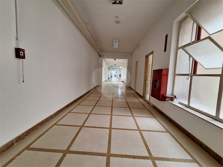 Foto REO1059154