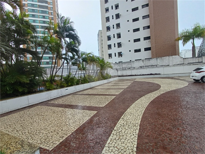 Foto REO1059166