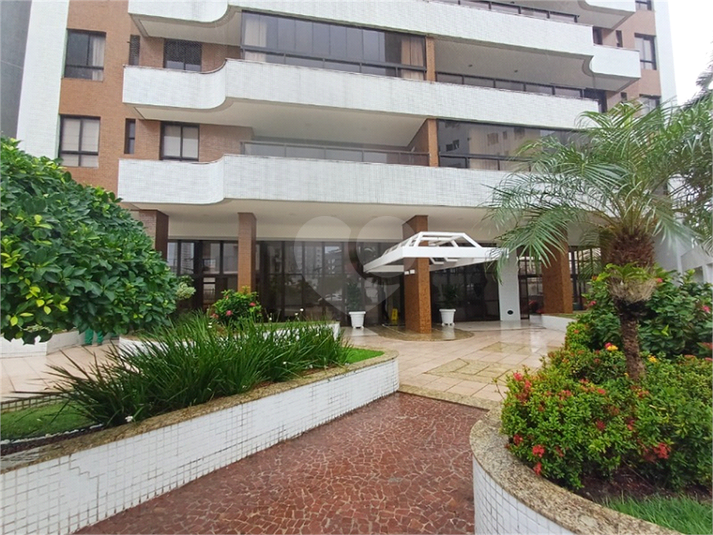 Foto REO1059166