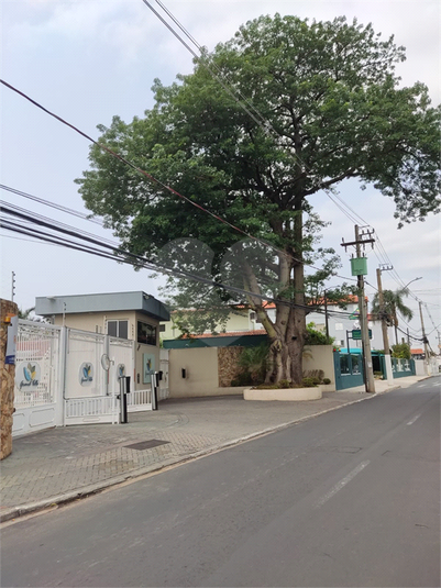 Foto REO1059183