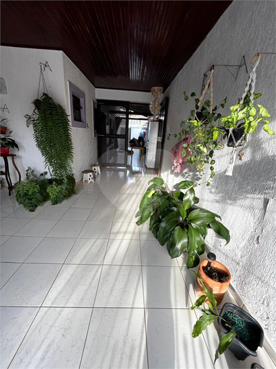 Foto REO1059197