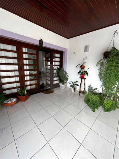 Foto REO1059197