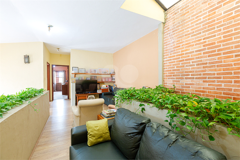 Foto REO1059201