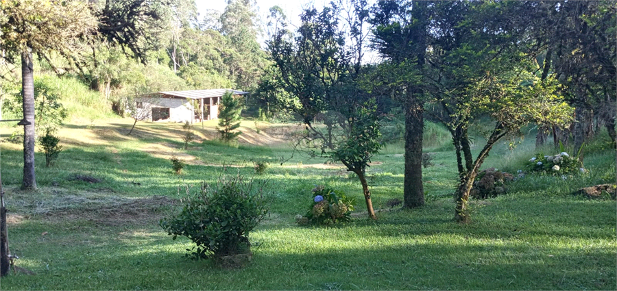 Foto REO1059244