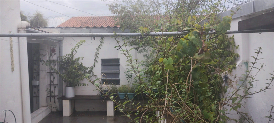 Venda Casa Jundiaí Jardim Da Fonte REO1059251 2