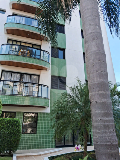 Foto REO1059292