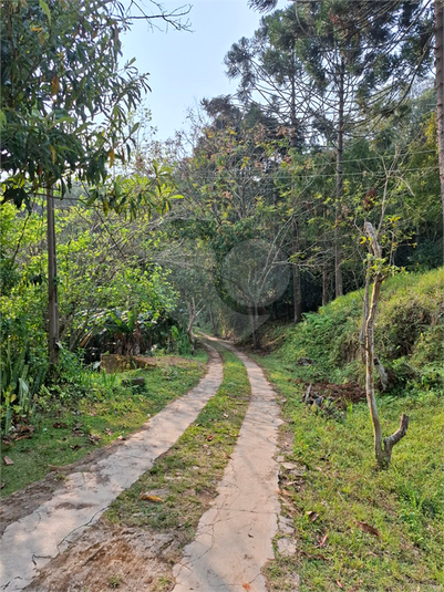 Venda Sítio São Roque Bairro Do Cambará REO1059359 22