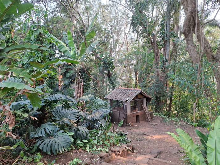 Venda Sítio São Roque Bairro Do Cambará REO1059359 16