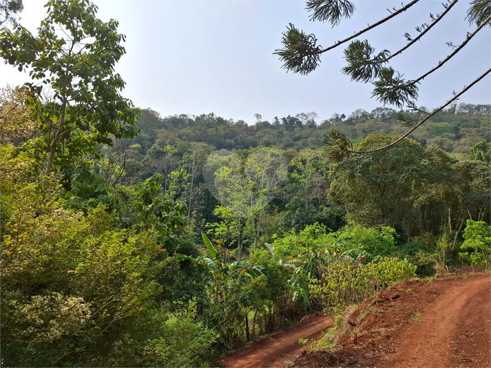 Venda Sítio São Roque Bairro Do Cambará REO1059359 19