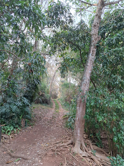 Venda Sítio São Roque Bairro Do Cambará REO1059359 26