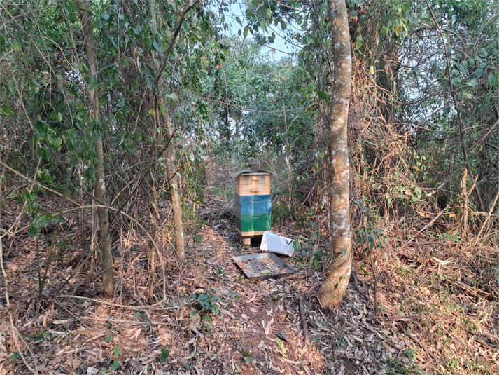 Venda Sítio São Roque Bairro Do Cambará REO1059359 13