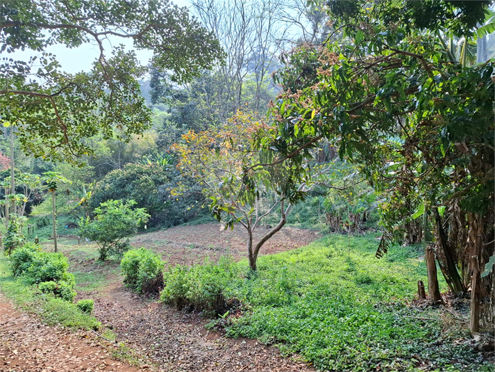 Venda Sítio São Roque Bairro Do Cambará REO1059359 20