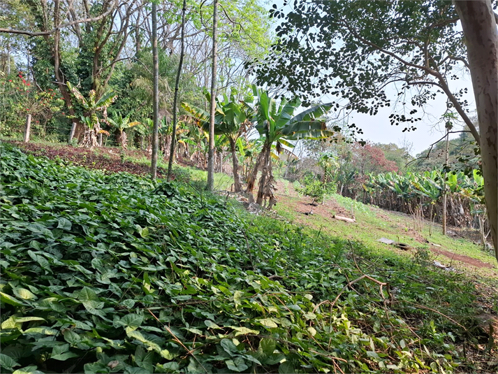 Venda Sítio São Roque Bairro Do Cambará REO1059359 18