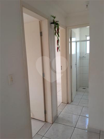Foto REO1059410