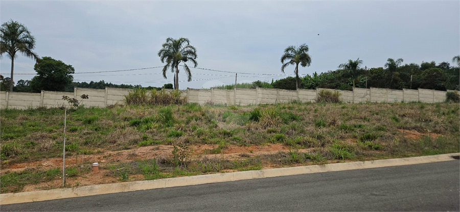 Foto REO1059422