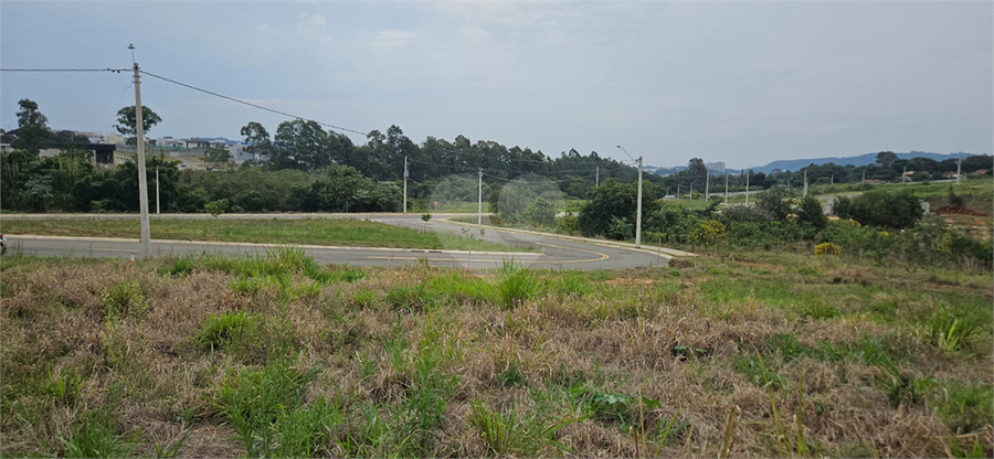 Foto REO1059422