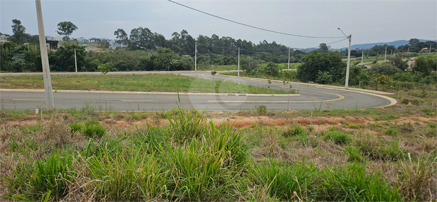 Foto REO1059422