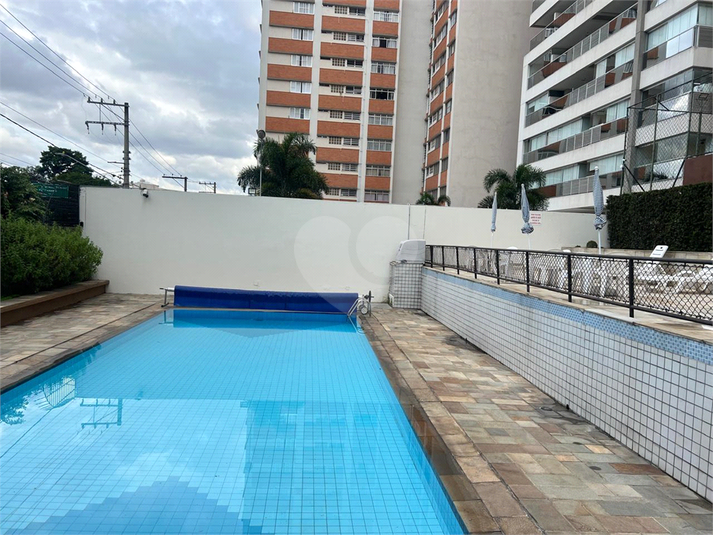 Foto REO1059478