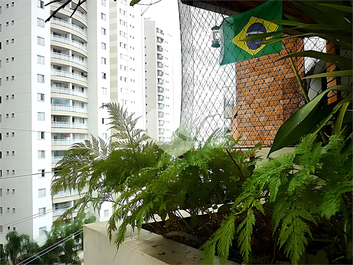 Foto REO1059608