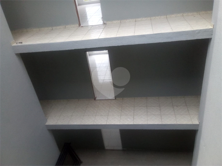 Foto REO1059612