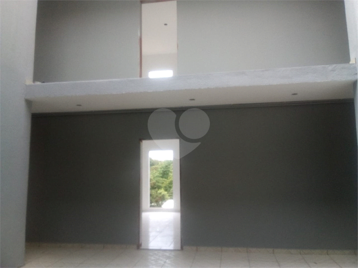 Foto REO1059612