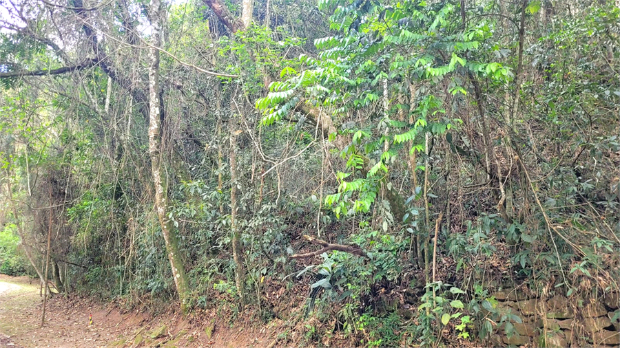 Venda Terreno Mairiporã Luiz Fagundes REO1059614 9