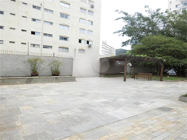 Foto REO1059621