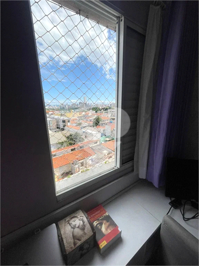 Foto REO1059635