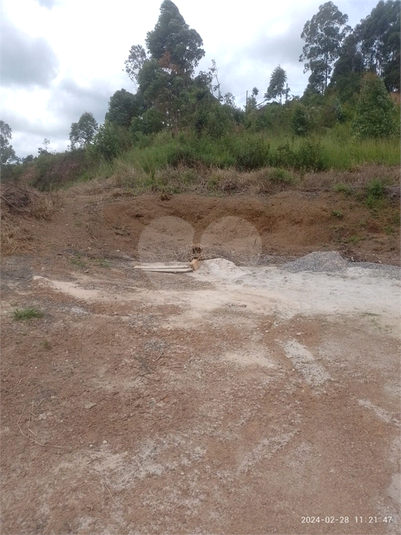 Venda Terreno Caldas Distrito Laranjeiras De Caldas REO1059692 3